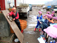 �I�X�ƃ��X�̌�������