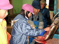 �������o��