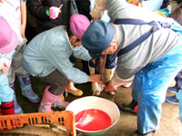 ���q�Ɨ�����������