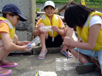 �y�b�g�{�g���g���b�v�쐬��