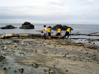 �傫�ȗ���