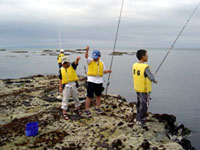 �ނ���y���ގq�ǂ�����