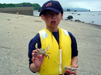 �J�j��߂܂��ďΊ�