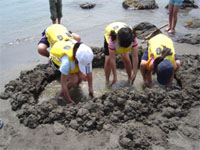 ���l�ō��V��