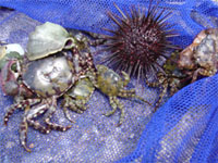 �߂܂�������