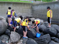 �傫�Ȋ�̌��Ԃ�`������