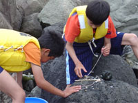 �L������q�ǂ�����