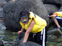 �����ዾ�����ăJ�j�ނ蒆