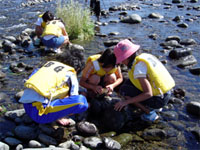 �΂̗��𒲂ׂ�