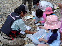 �����e�X�g