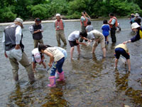 �{�����e�B�A�̕��Ɛ����T��