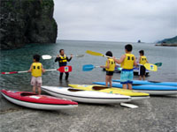 �p�h���̎g�������K��