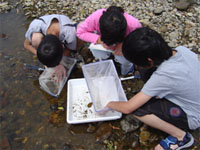 �Ԃ��g���č̏W