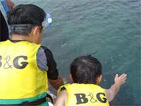 ���ɂ�����������