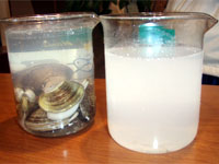 ���̑��肪����A����������������l�q