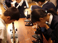 �������Ŋώ@