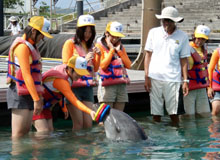 �C���J�ƐG�ꍇ��