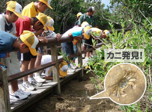 �V��������}���O���[�u���ώ@