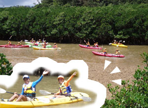 �J�k�[�ɏ�萅�ォ��ώ@