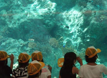 ����C������