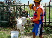 ���M�Ƃ̂ӂꂠ��