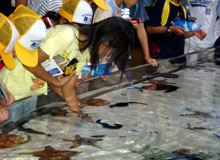 ����C������