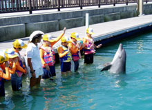 �C���J�ƐG�ꍇ��