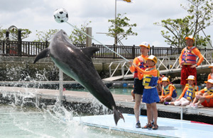 �C���J�ƗV�ڂ�