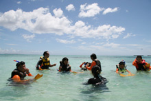 �V���m�[�P�����O�̌�