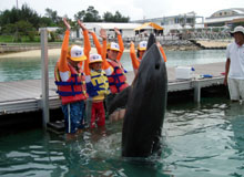 �C���J�v���O����