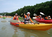 �}���O���[�u�̐X