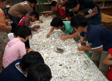 �W�F���L�����h�����