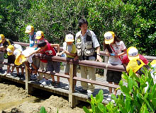 �}���O���[�u�T��