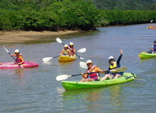 �}���O���[�u�T��