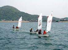 �n�o���b�g�ŊC�ɂ���o���܂���