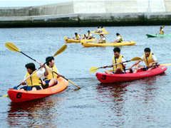 �J�k�[���i