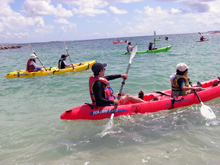 �u�t�̂a���f���c�@��֐^���q��