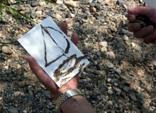 �G�t���쐬