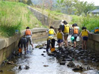 ����֓���