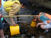 ������������