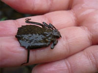 �߂܂���������