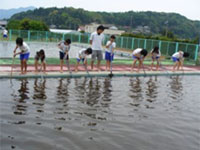 �v�[���|��