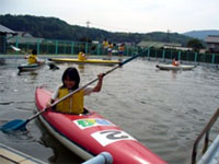 �J�k�[�̌��̗l�q