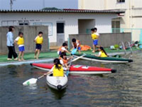 �J�k�[�̌��̗l�q