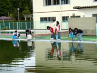 �v�[���֗�������