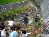 ���ʂ����Ȃ��ׂ����