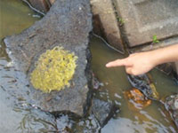 ���F����