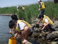 �������T��