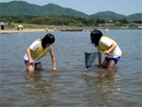 �G�܂ł̐��[