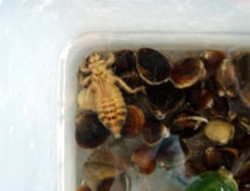 ��������������